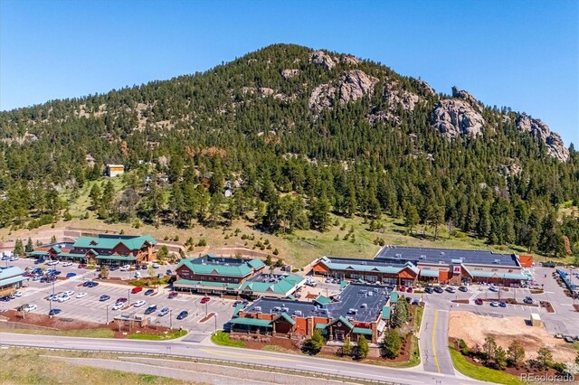 25357 Snyder Ave, Conifer, CO 80433 - aerial view of property's location with a forest and a mountain backdrop