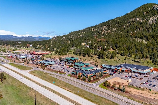 25357 Snyder Ave, Conifer, CO 80433 - drone / aerial view of a forest and a mountainous background