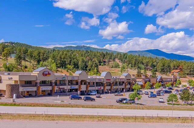 25357 Snyder Ave, Conifer, CO 80433 - view of mountain background featuring a heavily wooded area