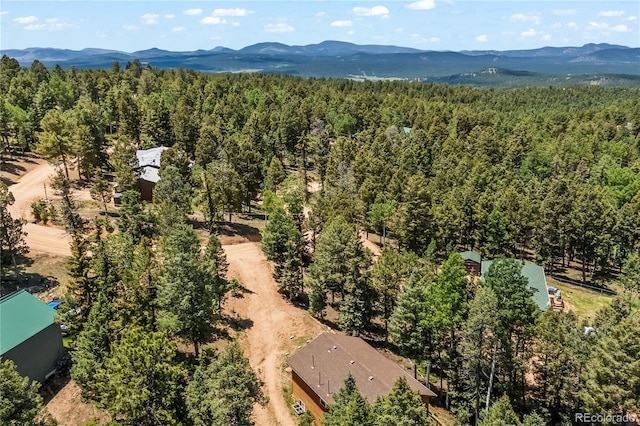 485 Donzi Trl, Florissant, CO 80816 - photo 4