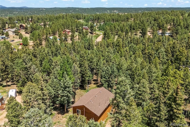 485 Donzi Trl, Florissant, CO 80816 - photo 5