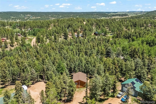 485 Donzi Trl, Florissant, CO 80816 - photo 6