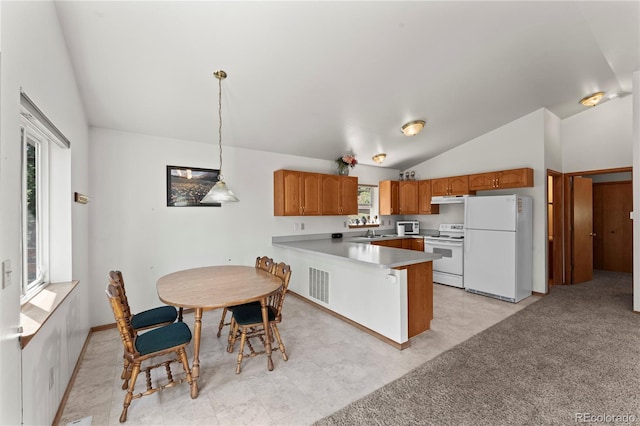 485 Donzi Trl, Florissant, CO 80816 - photo 13