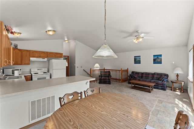 485 Donzi Trl, Florissant, CO 80816 - photo 14
