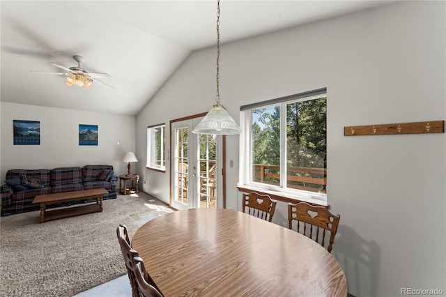 485 Donzi Trl, Florissant, CO 80816 - photo 15