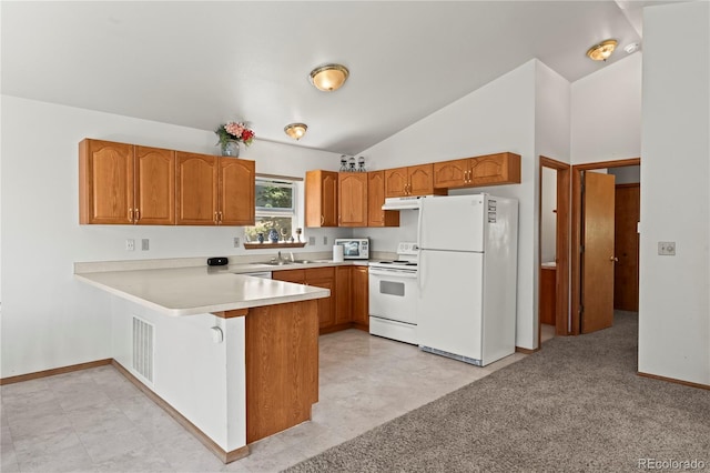 485 Donzi Trl, Florissant, CO 80816 - photo 16