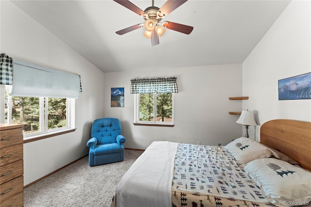 485 Donzi Trl, Florissant, CO 80816 - photo 22