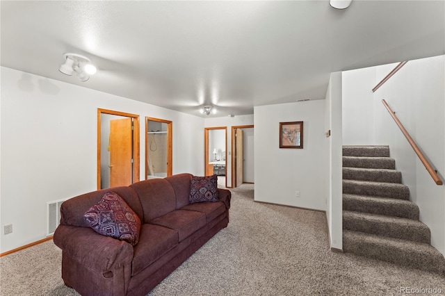 485 Donzi Trl, Florissant, CO 80816 - photo 25