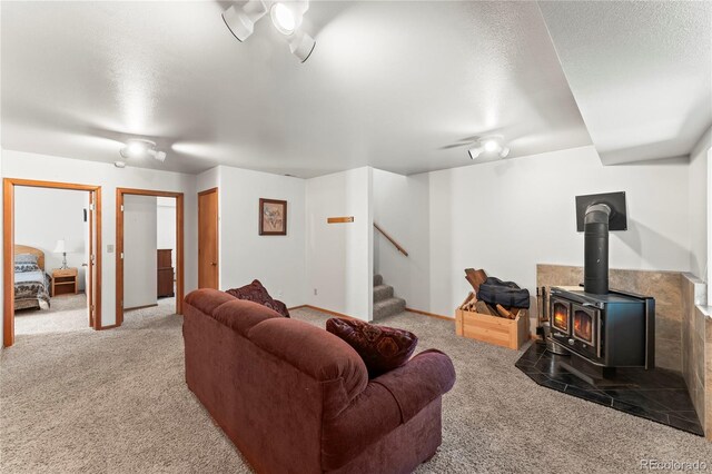 485 Donzi Trl, Florissant, CO 80816 - photo 26
