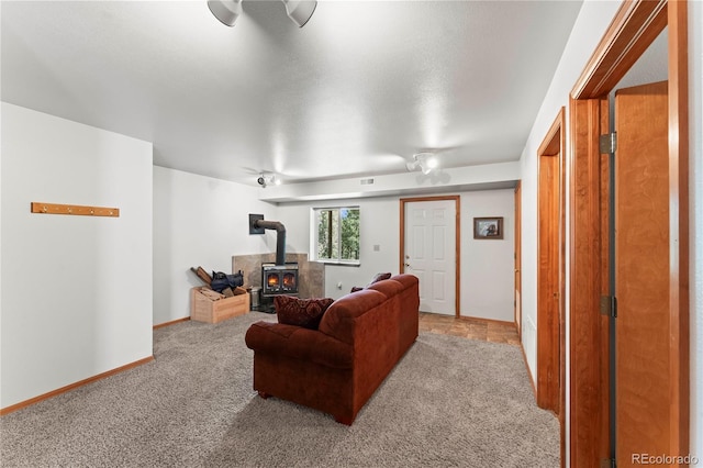 485 Donzi Trl, Florissant, CO 80816 - photo 27