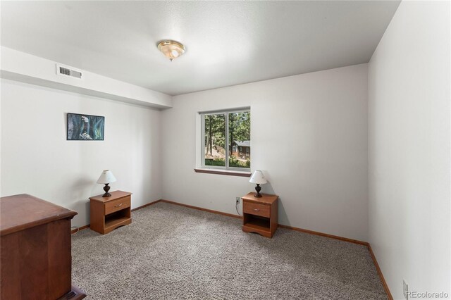 485 Donzi Trl, Florissant, CO 80816 - photo 32