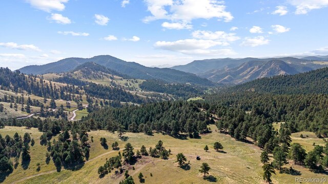 LOT3 S Grapevine Rd, Golden, CO 80403