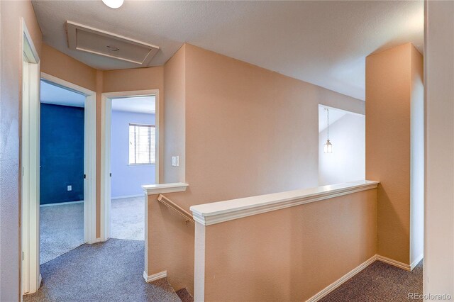 1270 Hoffman Dr, Erie, CO 80516 - photo 16