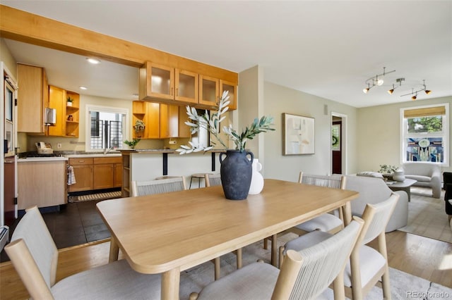 dining room featuring recessed lighting, dark wood finished floors, and rail lighting