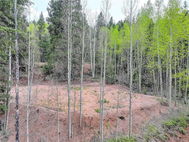 416 Willow Rd, Divide, CO 80814