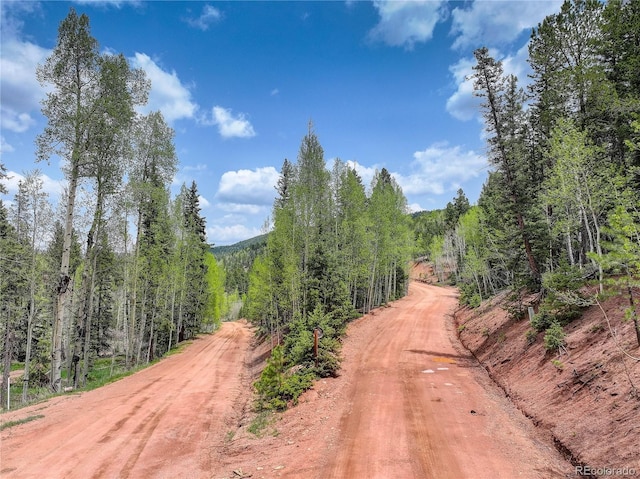 416 Willow Rd, Divide, CO 80814