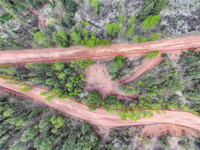 416 Willow Rd, Divide, CO 80814
