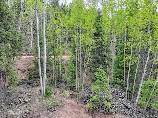 416 Willow Rd, Divide, CO 80814