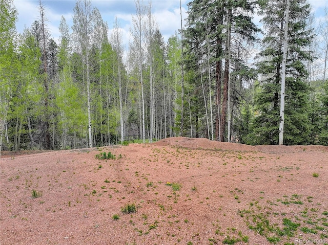 416 Willow Rd, Divide, CO 80814