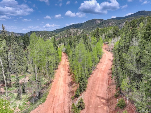 416 Willow Rd, Divide, CO 80814