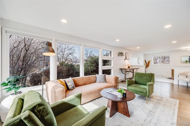 living room with light wood-type flooring