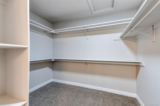 27627 E Broadview Dr, Kiowa, CO 80117 - walk in closet featuring carpet floors