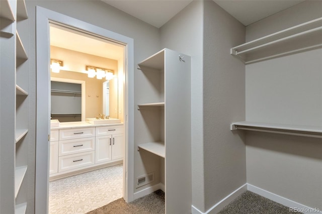 27627 E Broadview Dr, Kiowa, CO 80117 - spacious closet featuring light colored carpet and a sink