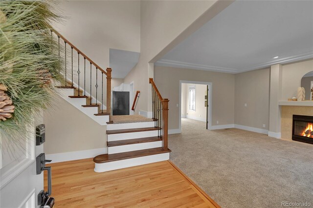 1321 Ruby Way, Longmont, CO 80504 - photo 7