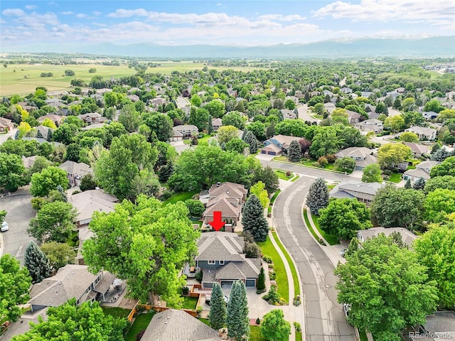 1321 Ruby Way, Longmont, CO 80504 - photo 47
