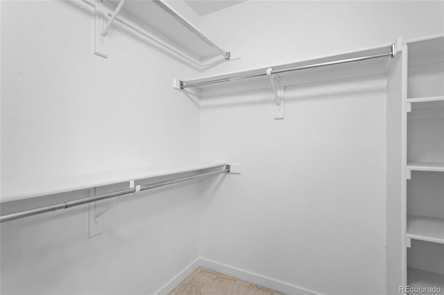 14247 Pikeminnow Pl, Broomfield, CO 80023 - walk in closet with carpet floors