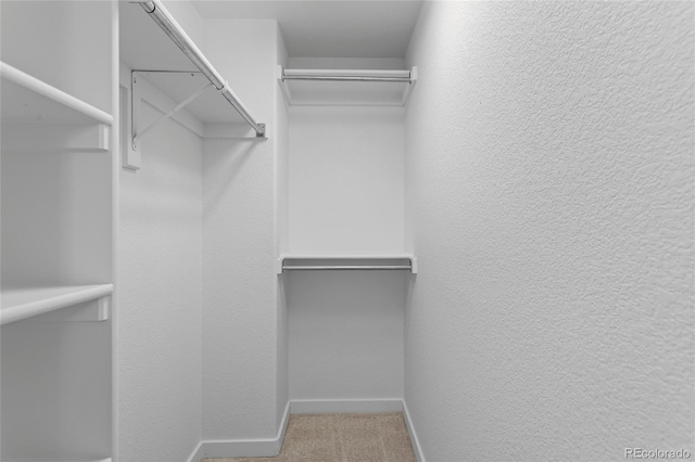 14247 Pikeminnow Pl, Broomfield, CO 80023 - walk in closet with carpet flooring