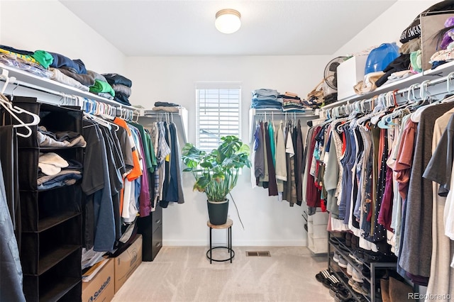 4280 Pioneer Pl, Brighton, CO 80601 - spacious closet with carpet flooring