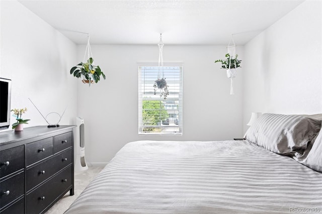 4280 Pioneer Pl, Brighton, CO 80601 - view of bedroom
