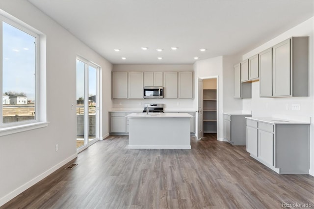 kitchen with wood-type flooring, gray cabinets, a kitchen island with sink, and stainless steel appliances