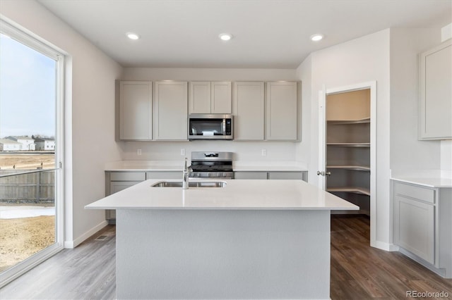 kitchen featuring stainless steel appliances, hardwood / wood-style floors, gray cabinetry, and a center island with sink