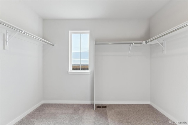 walk in closet with carpet floors