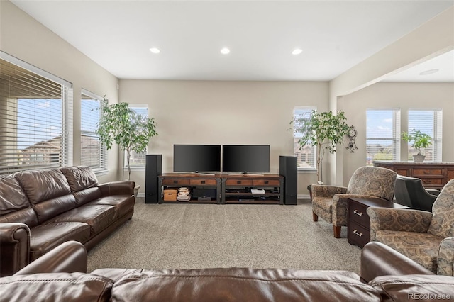 carpeted living room with a wealth of natural light