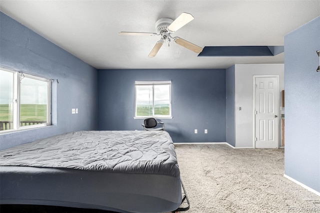 27190 Private Road 139, Agate, CO 80101 - bedroom with carpet floors and a ceiling fan