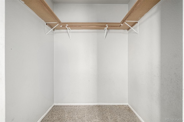 27190 Private Road 139, Agate, CO 80101 - walk in closet featuring carpet