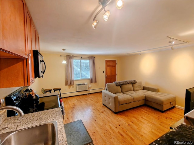 living area with track lighting, light wood-style flooring, a baseboard radiator, ornamental molding, and baseboards