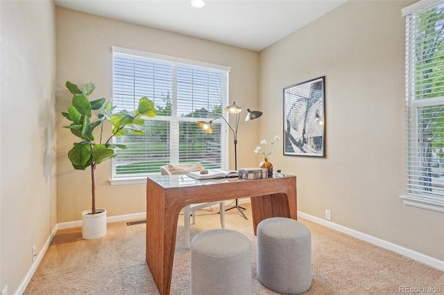 2605 Gray Wolf Loop, Broomfield, CO 80023 - carpeted office featuring baseboards