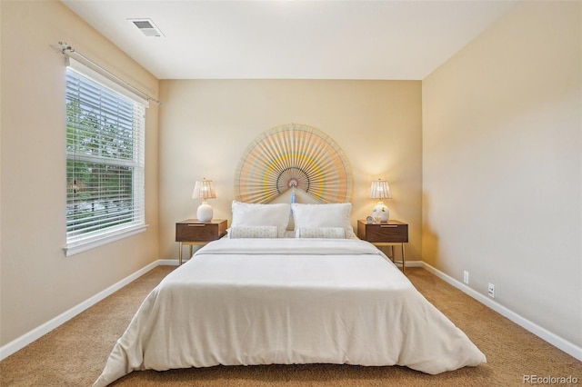 2605 Gray Wolf Loop, Broomfield, CO 80023 - bedroom featuring carpet floors and baseboards