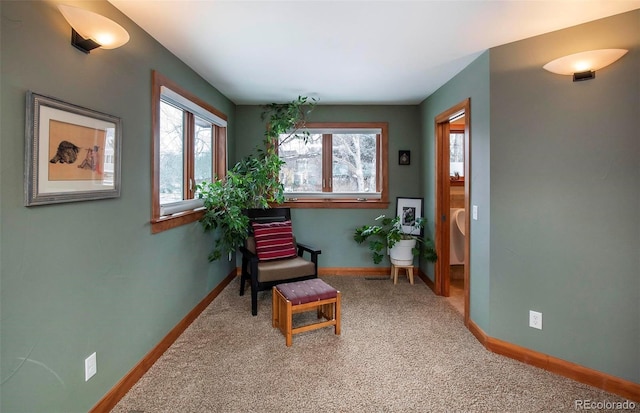 living area with carpet and baseboards