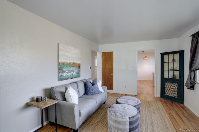 living room with hardwood / wood-style flooring