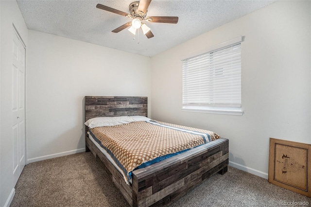 6189 Zenobia Ct, Arvada, CO 80003 - photo 14