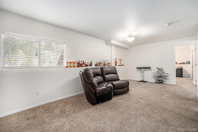 6189 Zenobia Ct, Arvada, CO 80003 - photo 19