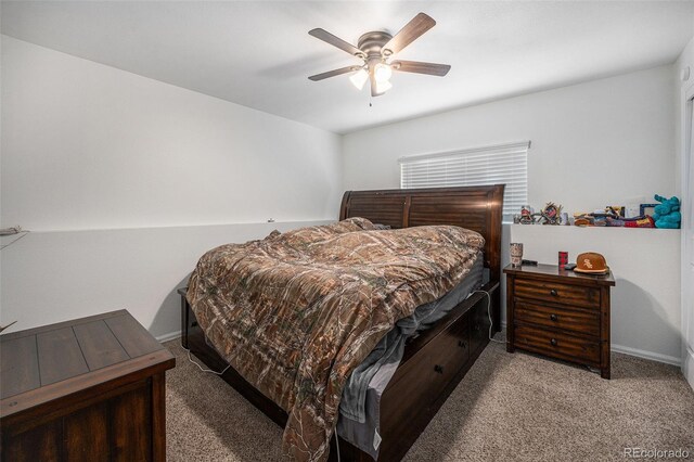 6189 Zenobia Ct, Arvada, CO 80003 - photo 21