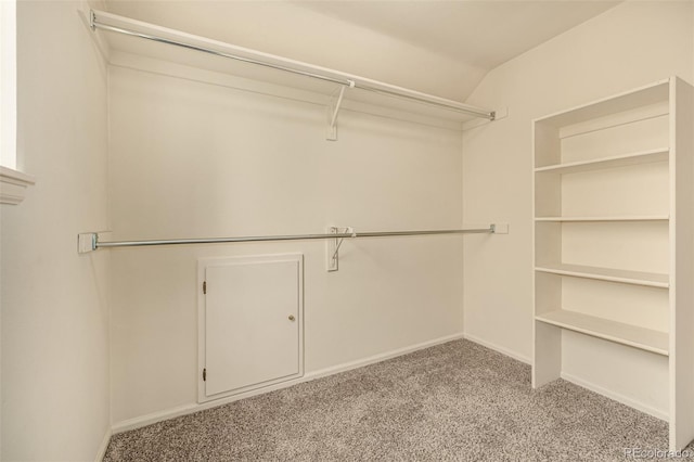 walk in closet with lofted ceiling and light colored carpet