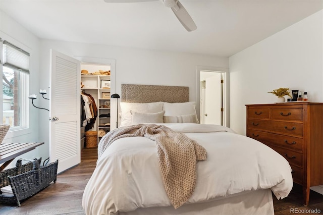 bedroom with a closet, a walk in closet, hardwood / wood-style flooring, and ceiling fan