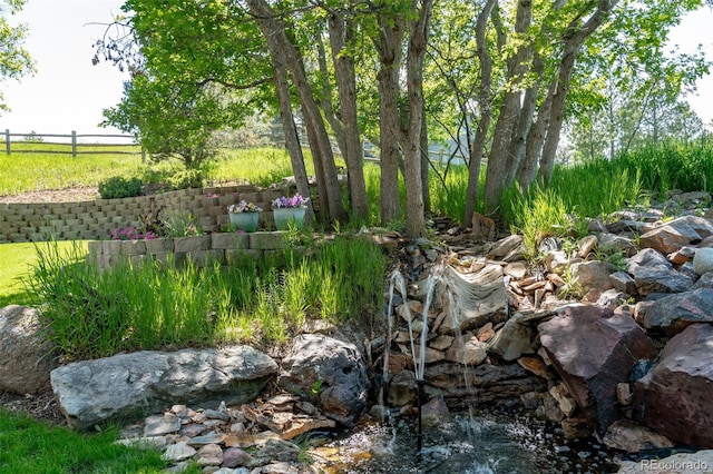 5631 Silver Bluff Ct, Parker, CO 80134 - photo 8